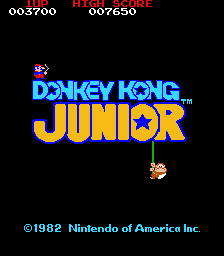 Donkey Kong Jr